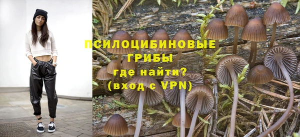 крисы Армянск