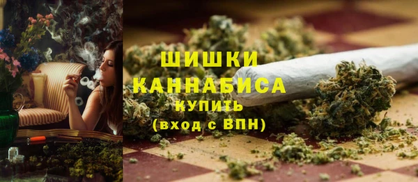 молекула духа Арсеньев