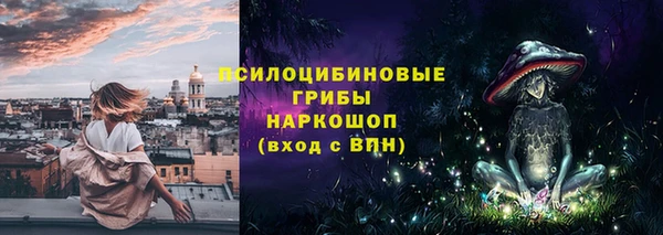 молекула духа Арсеньев
