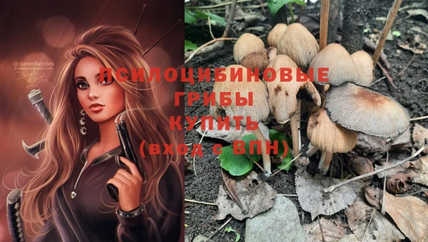 крисы Армянск